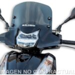 Cúpula Malossi Sport Screen ahumado oscuro compatible con Honda SH 300. Mejora aerodinámica, confort y estilo deportivo premium.